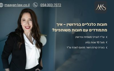 חובות כלכליים בגירושין – איך מתמודדים עם חובות משותפים - עו"ד מעין סבג
